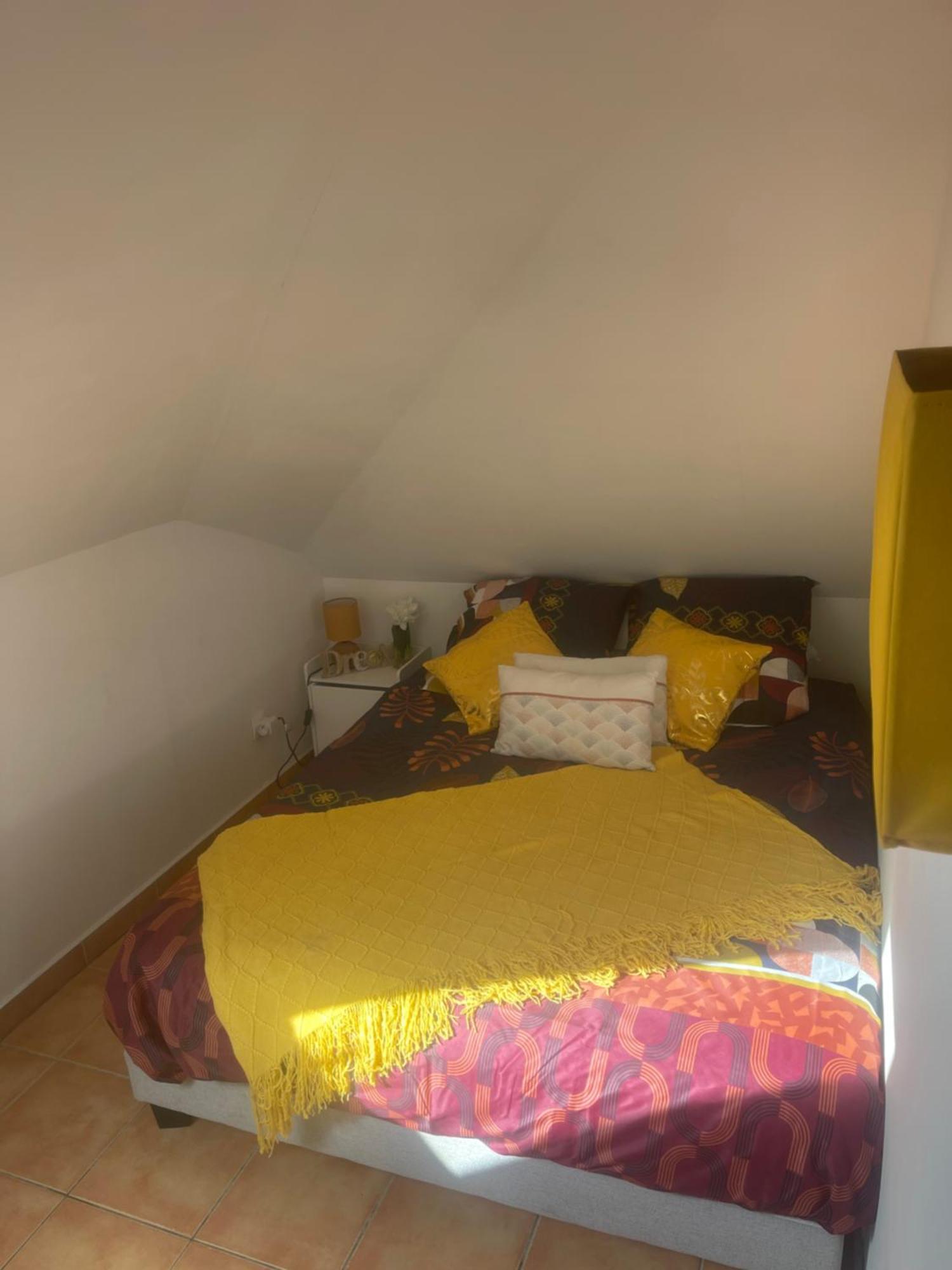 Casa Coliving Avec Chambre Salle De Bain Individuelles Privatives Saint Pierre Εξωτερικό φωτογραφία